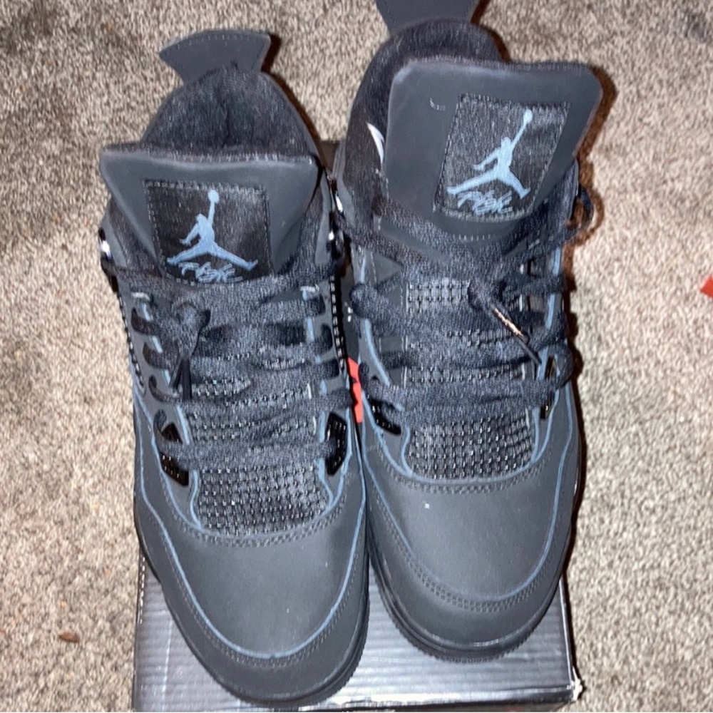 Jordan- black cat - Picture 2 of 2